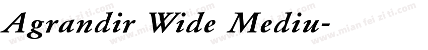 Agrandir Wide Mediu字体转换